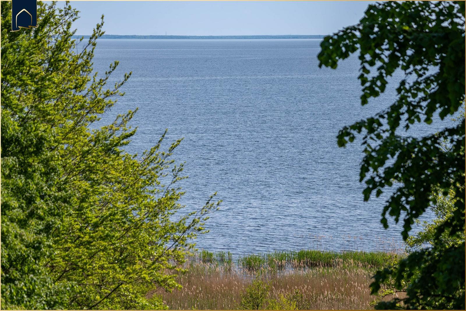 Boote liegen am Ufer eines Sees mit Wald im Hintergrund.