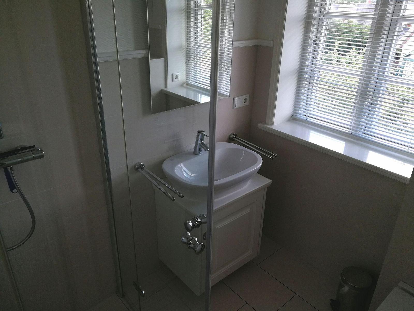 Badezimmer mit Dusche, Waschbecken und Handlauf