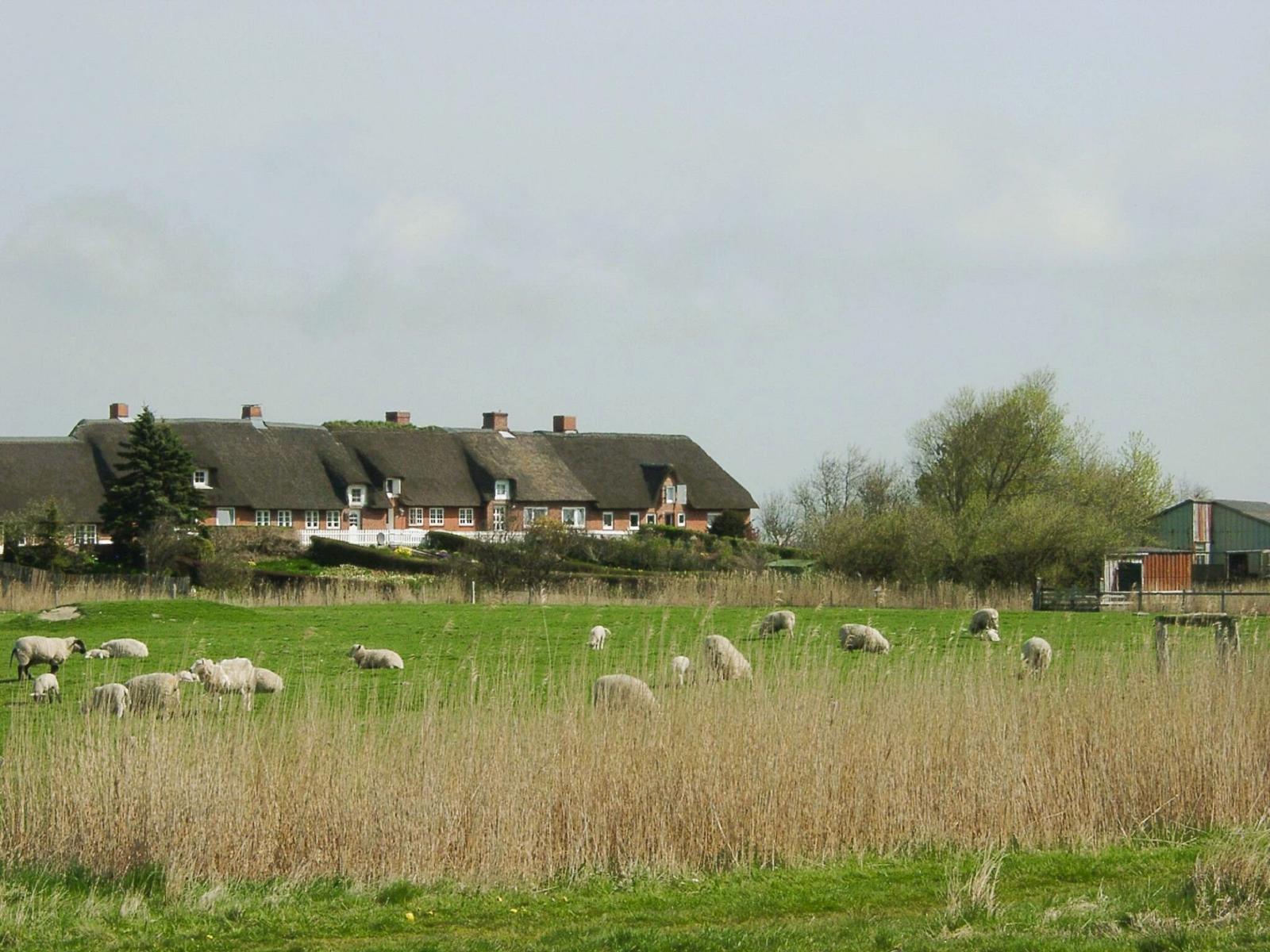 Landschaft