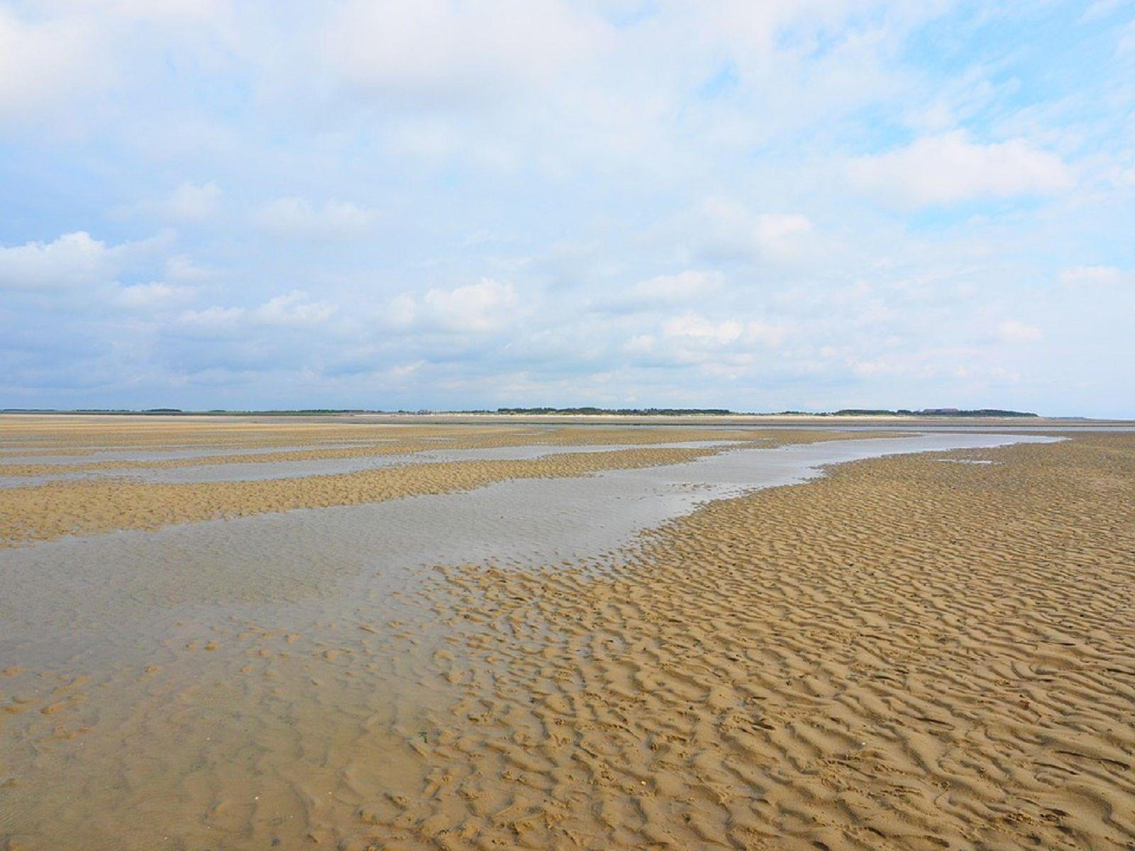 Landschaft
