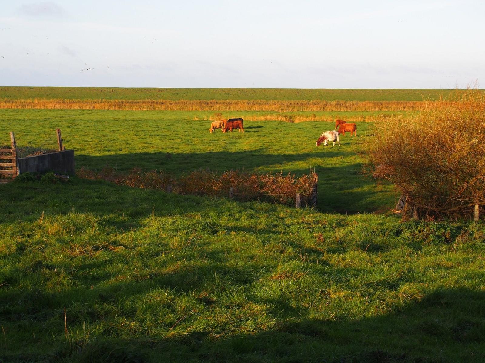 Landschaft