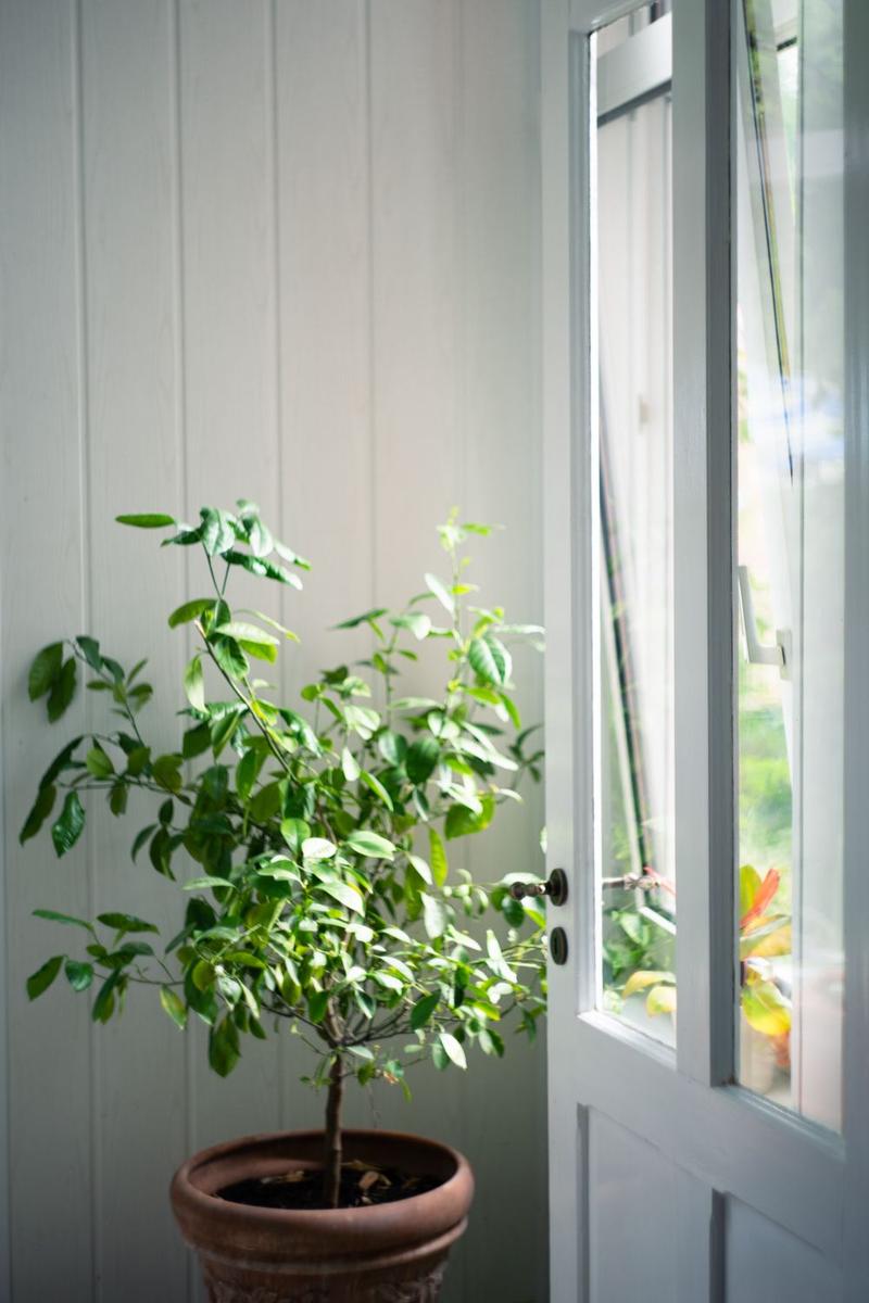 Wintergarten