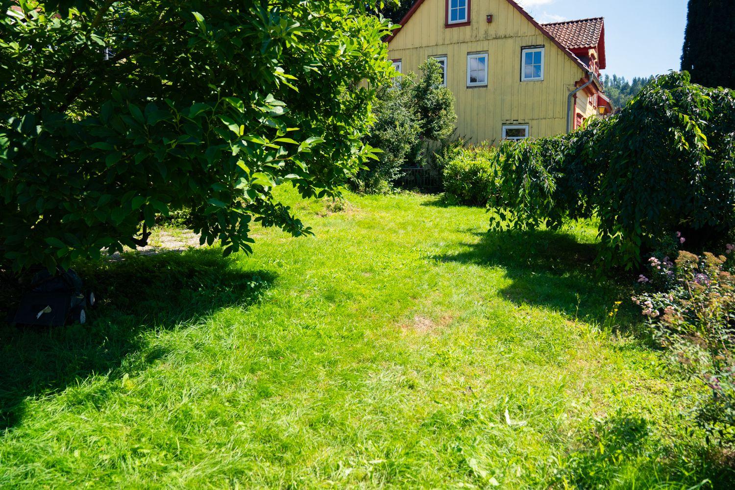 Garten