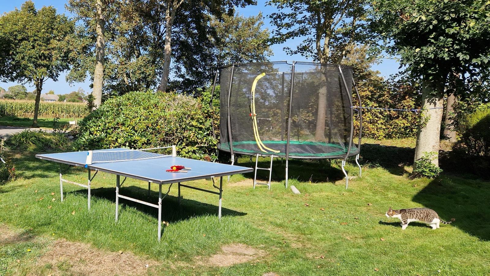 Trampolin und Tischtennis