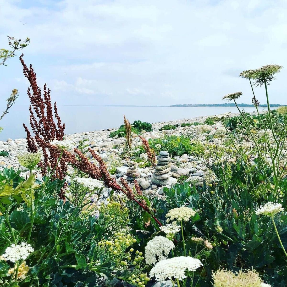 Weg durch Grünflächen zum Meer unter blauem Himmel