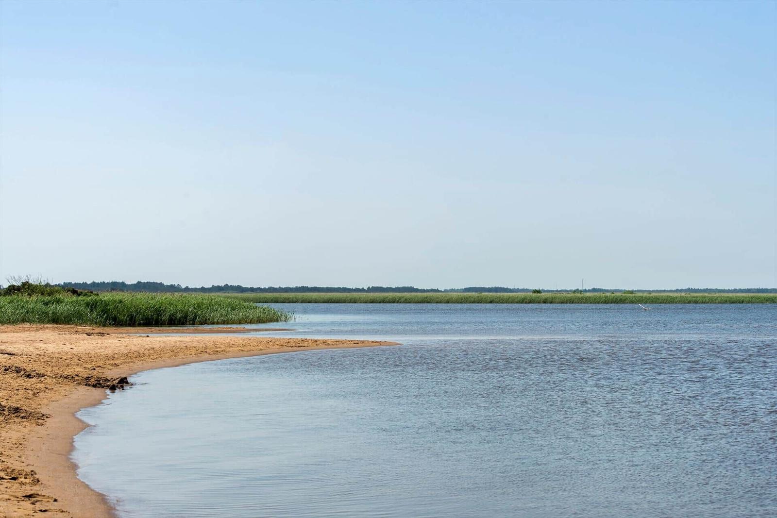 Rote Hütten am Wasser mit blauer Bootsanlegestelle.
