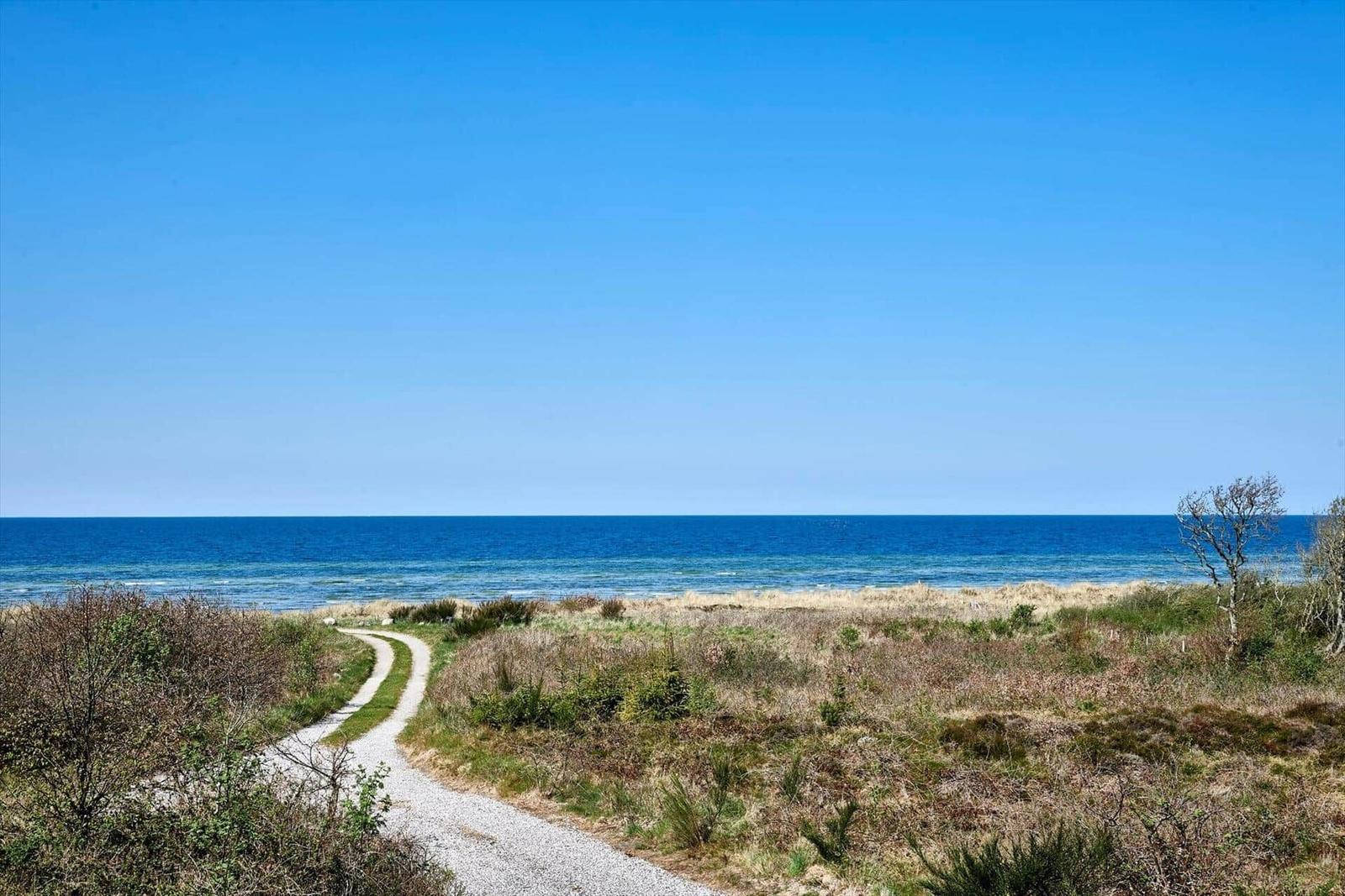 Grüner Hang mit Blick auf das Meer und eine Picknickbank