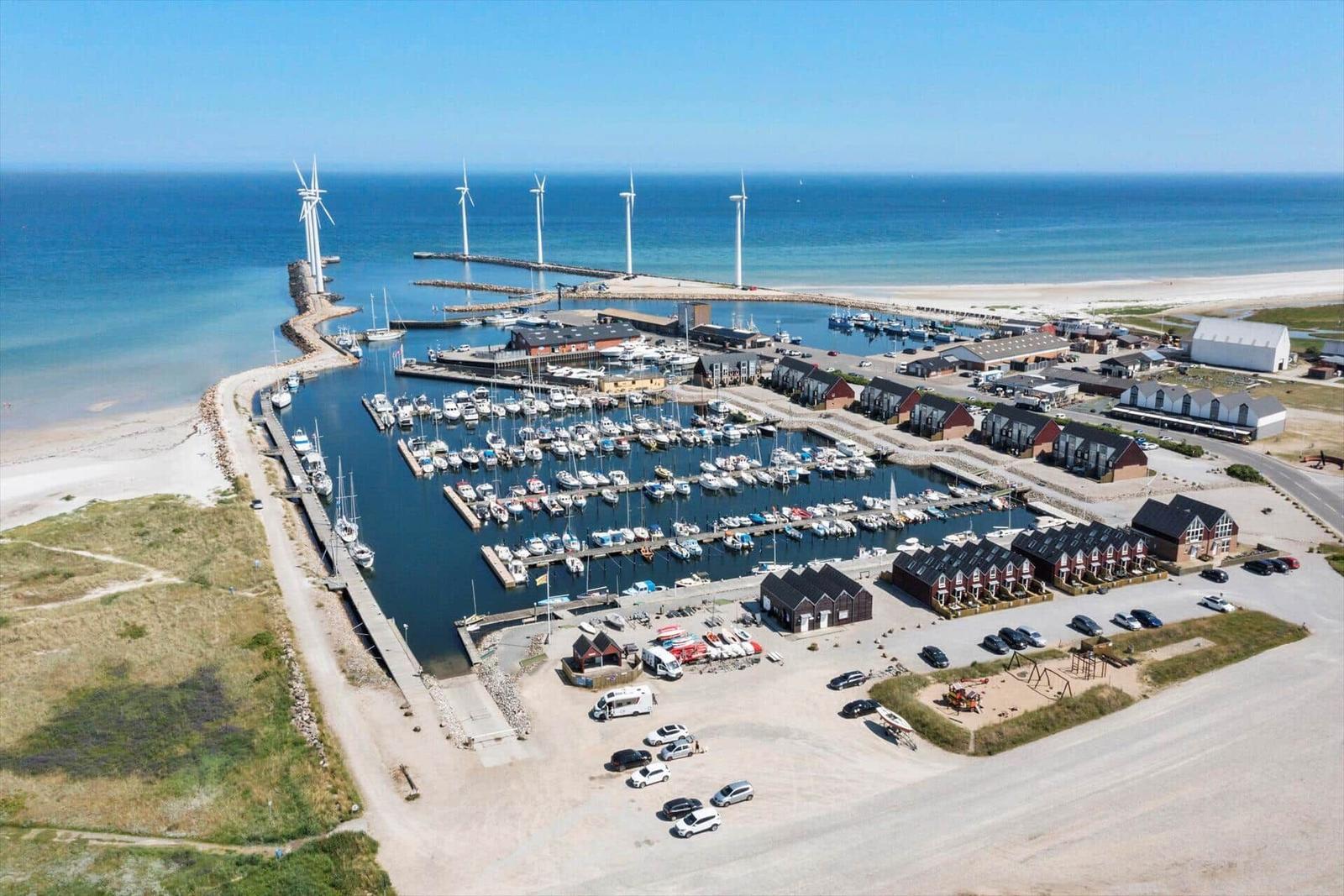 Strand mit Watt und Vögeln im Hintergrund. Blick auf das Meer unter blauem Himmel.