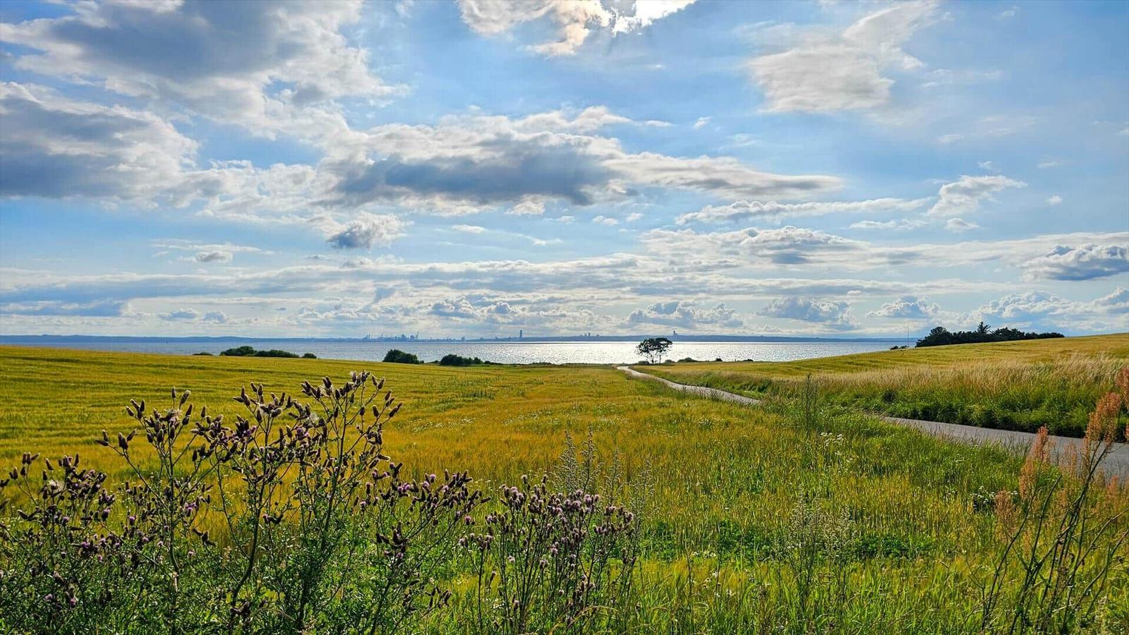 Hafen mit Segelbooten und Motorbooten im klaren Wasser unter blauem Himmel.