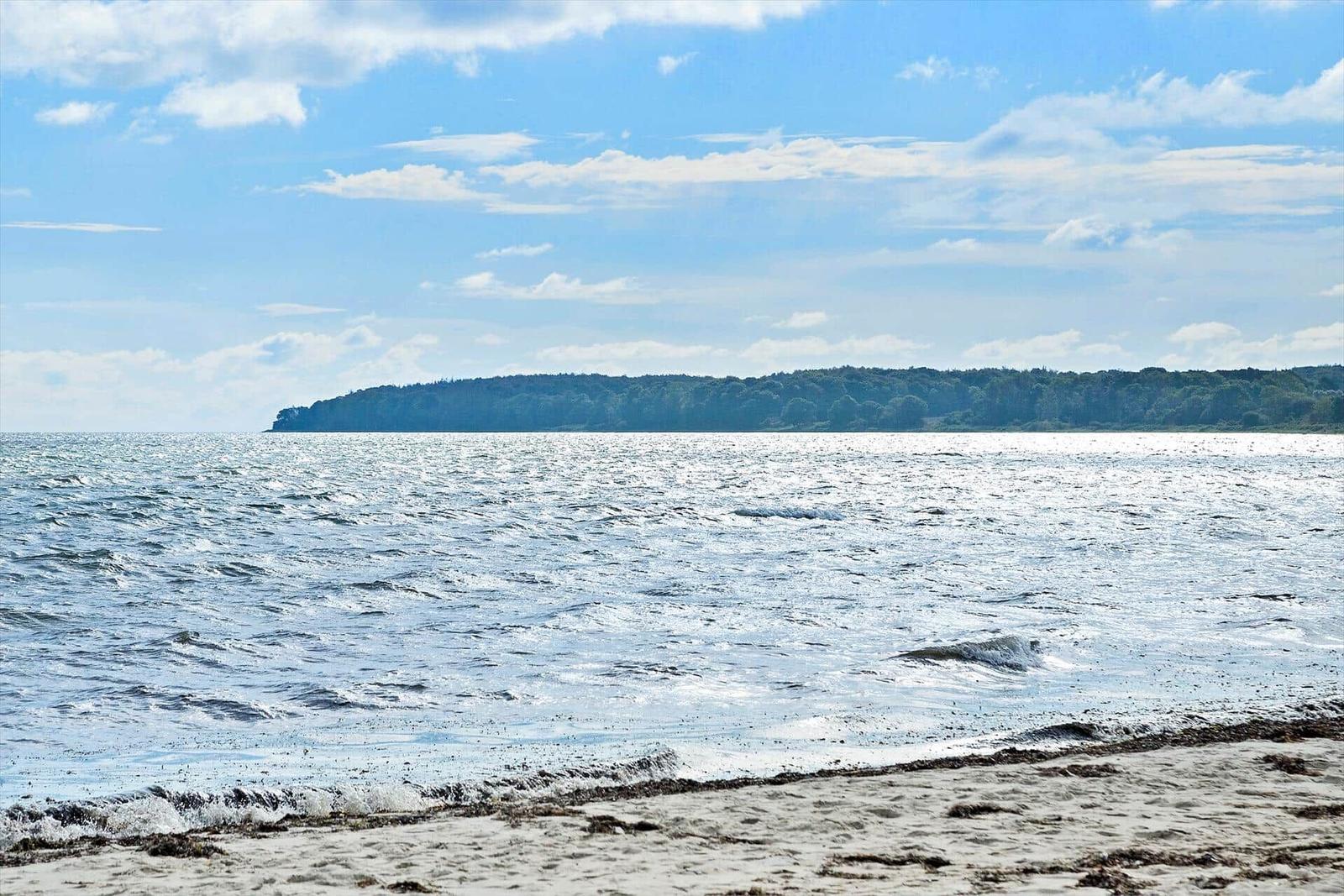 Vorort mit Blick auf Wasser und Häuser unter blauem Himmel mit gelben Blumen im Vordergrund.