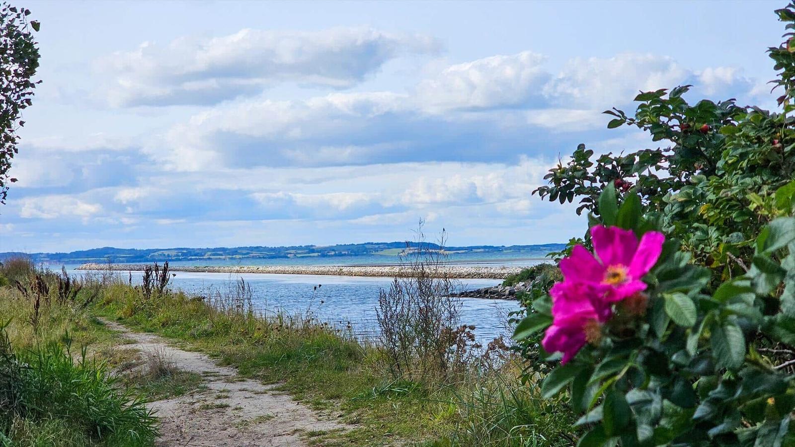Klareres Wasser mit sanften Wellen am Strand. Im Hintergrund sind Dünen und Himmel mit Wolken sichtbar.