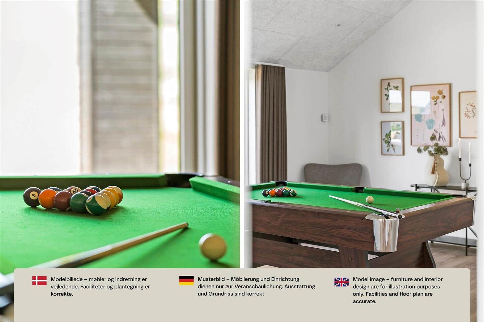 Billardtisch mit Kugeln und Queue, dahinter Sessel und botanische Wandbilder.