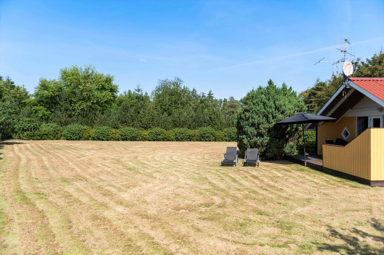 Large lawn with two sun loungers, a yellow house and a black parasol.