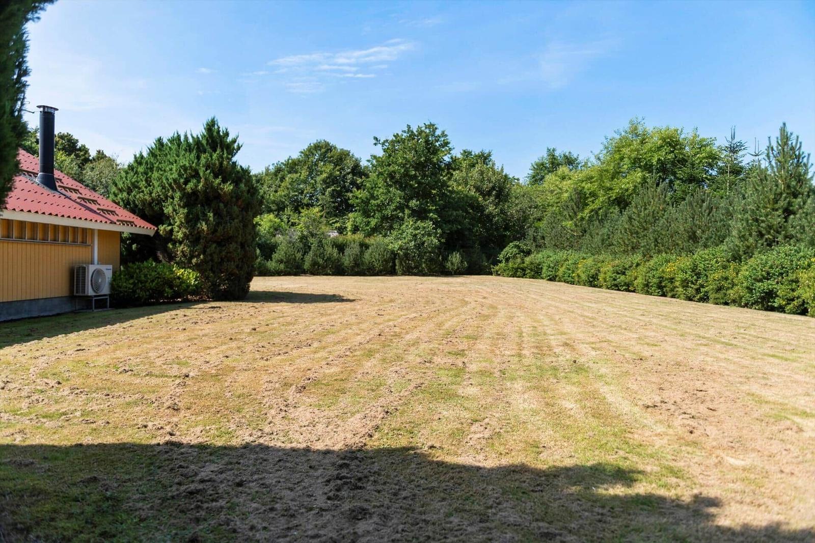 Large mown lawn beside a yellow wooden house with red roof and hedge.