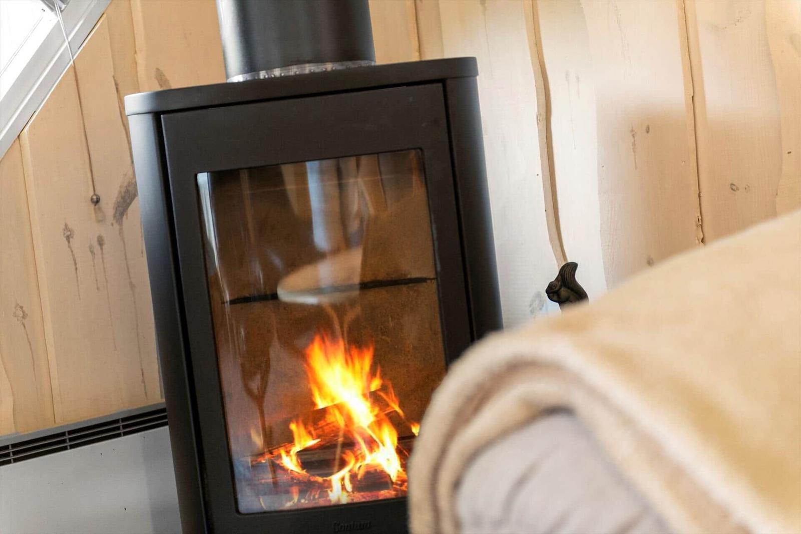 Black wood stove with burning logs against light vertical wood paneling.