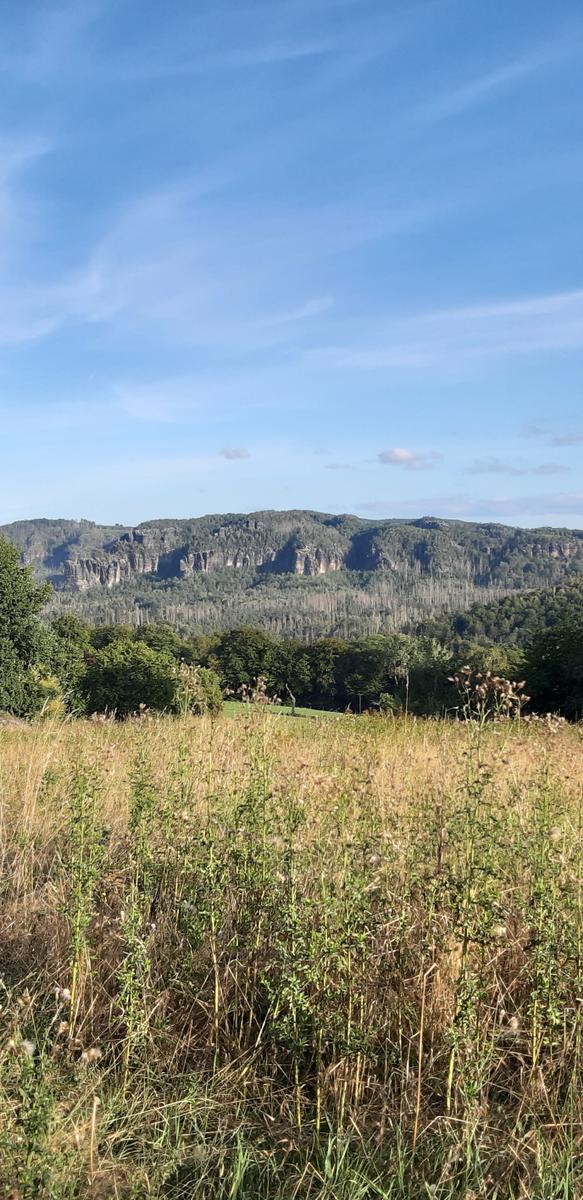 Blick zum Bloßstock , Affensteine , Carolafelsen