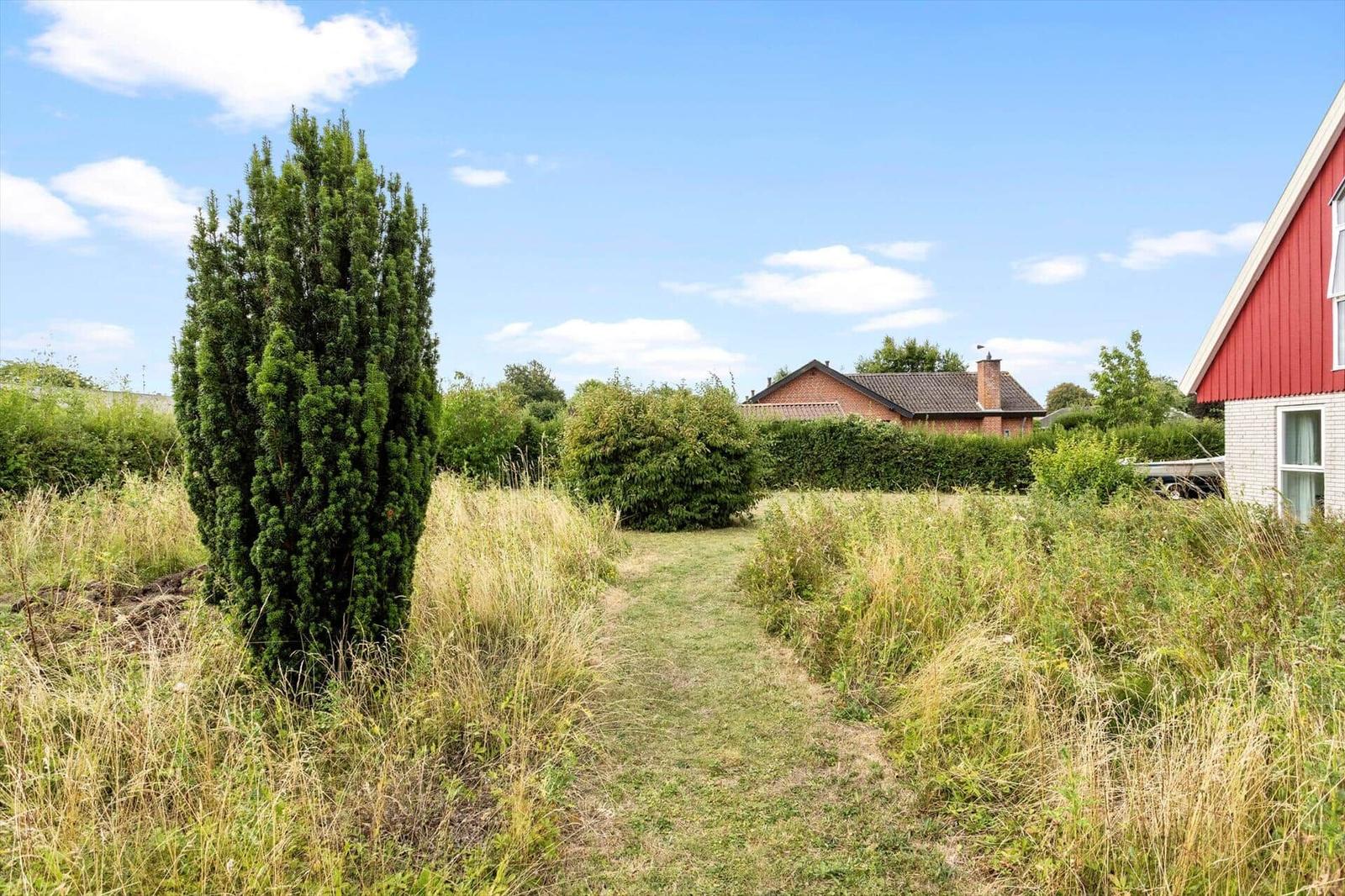 Garden with mowed path through tall grass, columnar tree and red gable house.