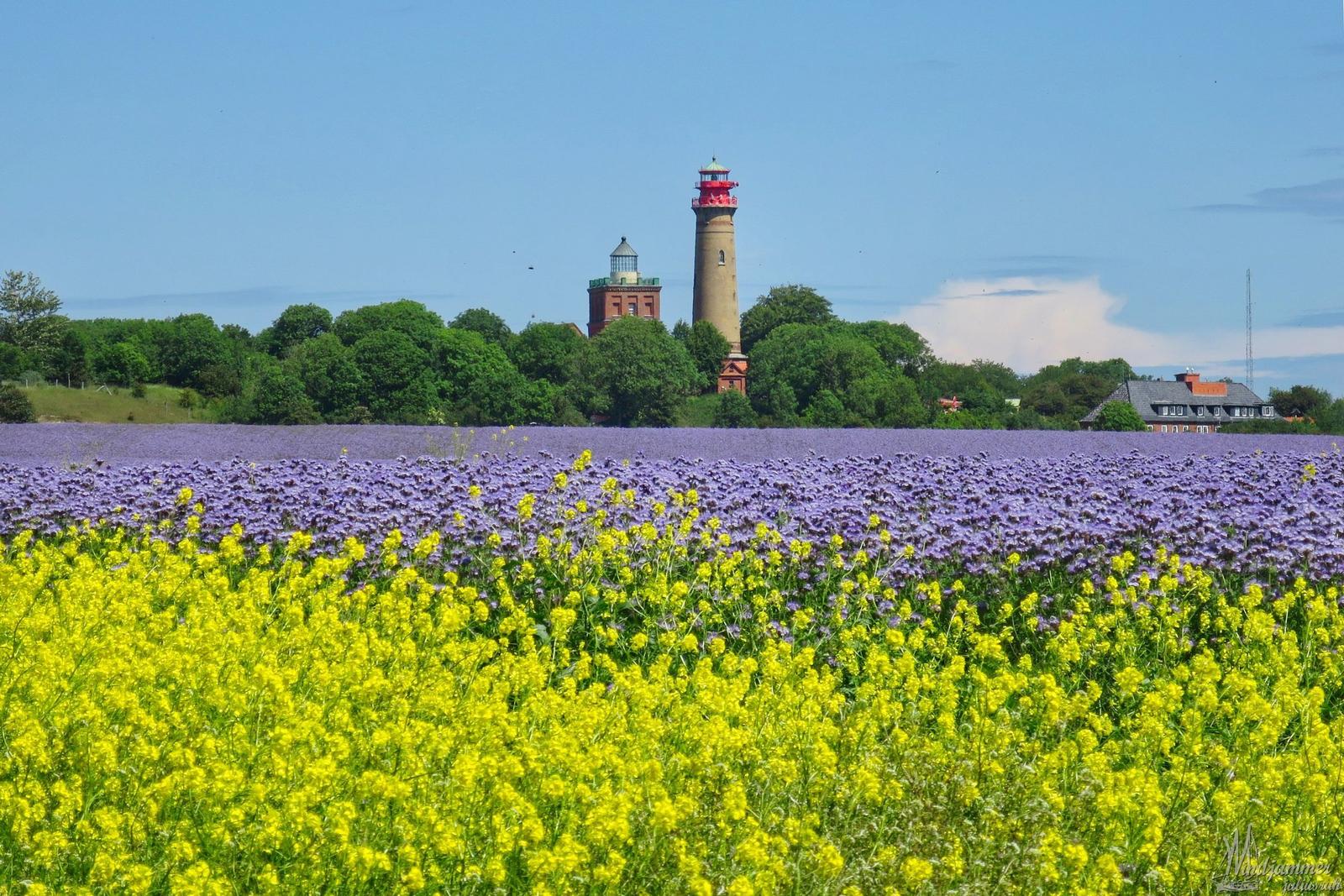 Landschaft