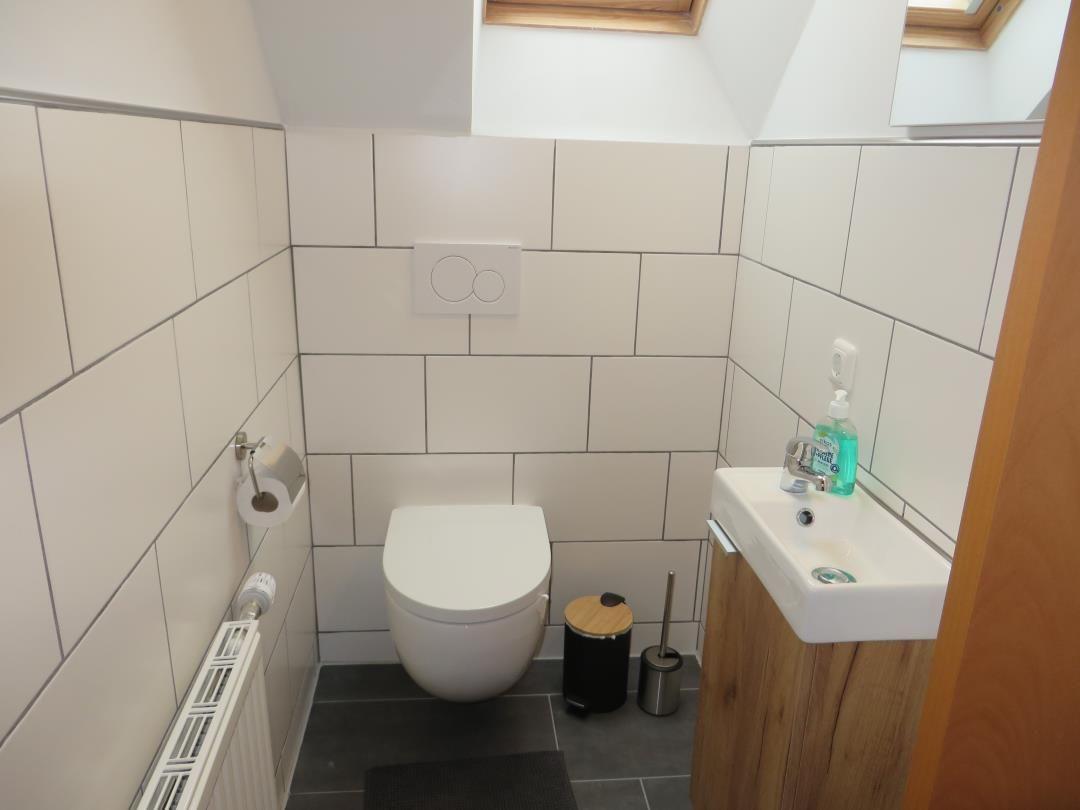 Kleines WC mit wandhängender Toilette, Waschbecken und Dachfenster.