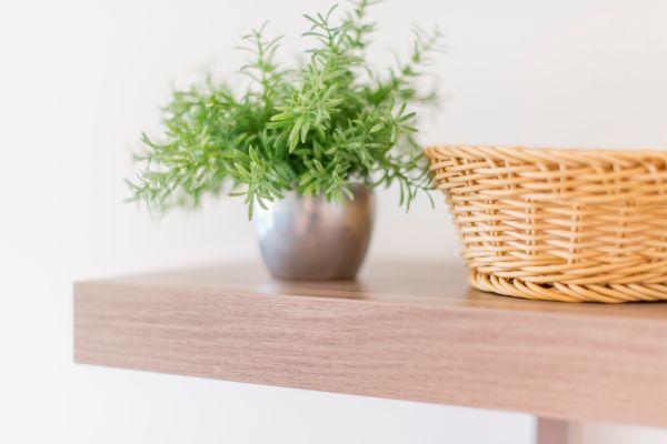 Holzregal an weißer Wand mit grüner Topfpflanze und Korb.