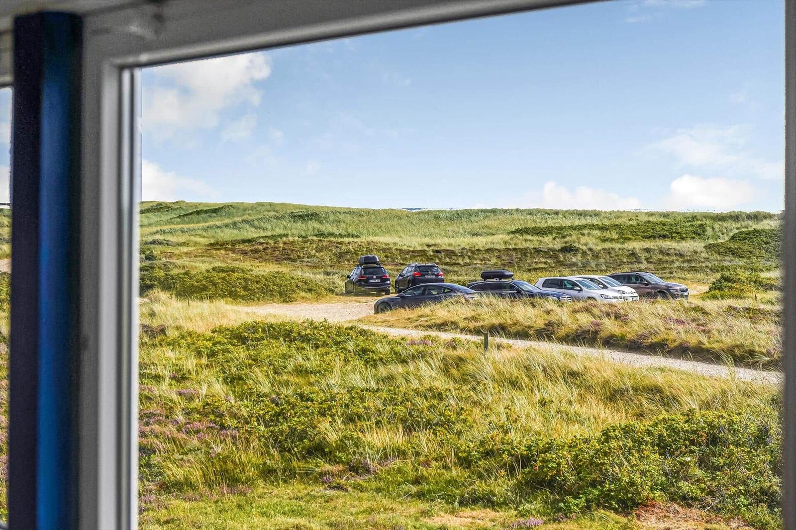 Blick aus dem Fenster auf Dünenlandschaft mit Heidekraut und geparkten Autos.