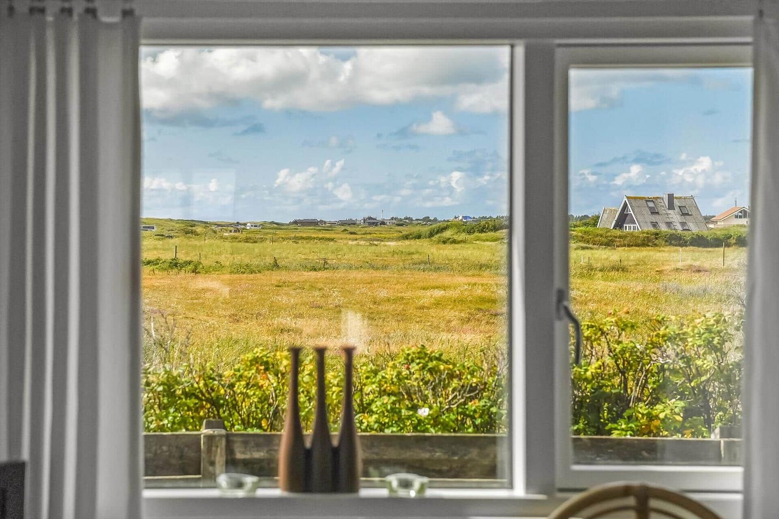 Blick durchs Fenster auf Wiesenlandschaft, Holzzaun und Häuser am Horizont.