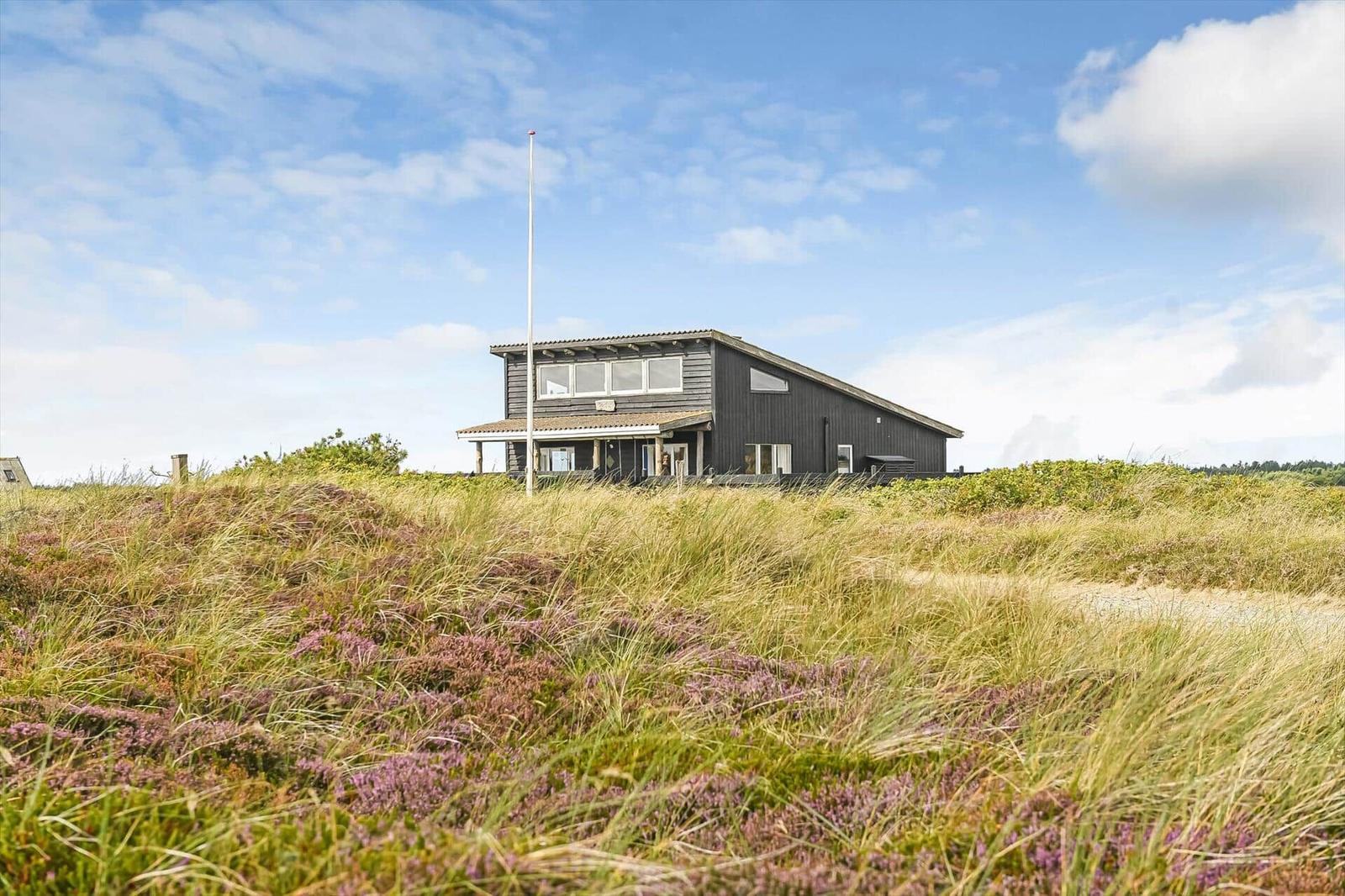 Dunkles Holzhaus in Dünenlandschaft mit Heidekraut, Gras und Fahnenmast.
