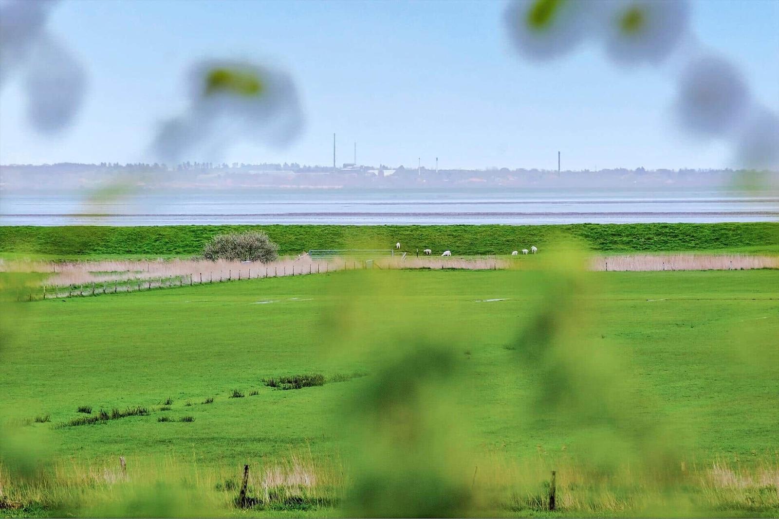 Grünflächen mit Schafen und einem See im Hintergrund