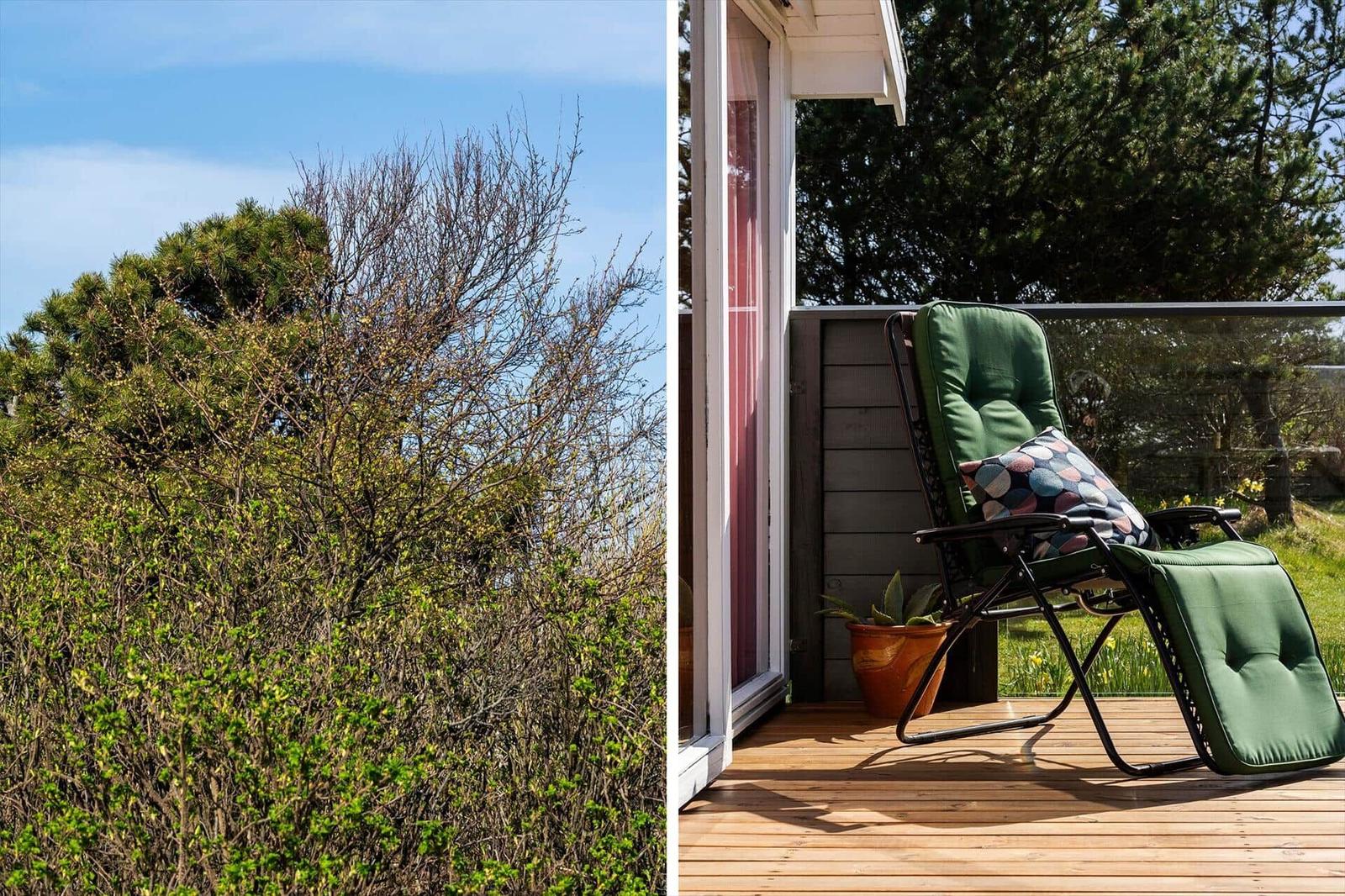 Terrasse mit Picknicktisch, Blumen und Blick auf Grünfläche und Bäume.