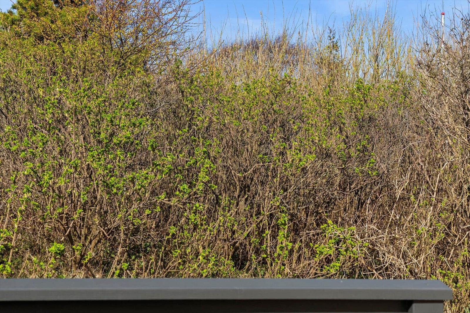 Außenbereich mit Liegestühlen und Tisch unter Sonnenschirm. Grünflächen und Bäume im Hintergrund.