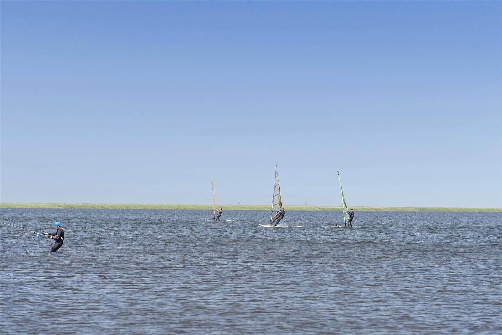 Luftbild einer Wohngegend am Wasser mit Bootshäfen und Sportplätzen.