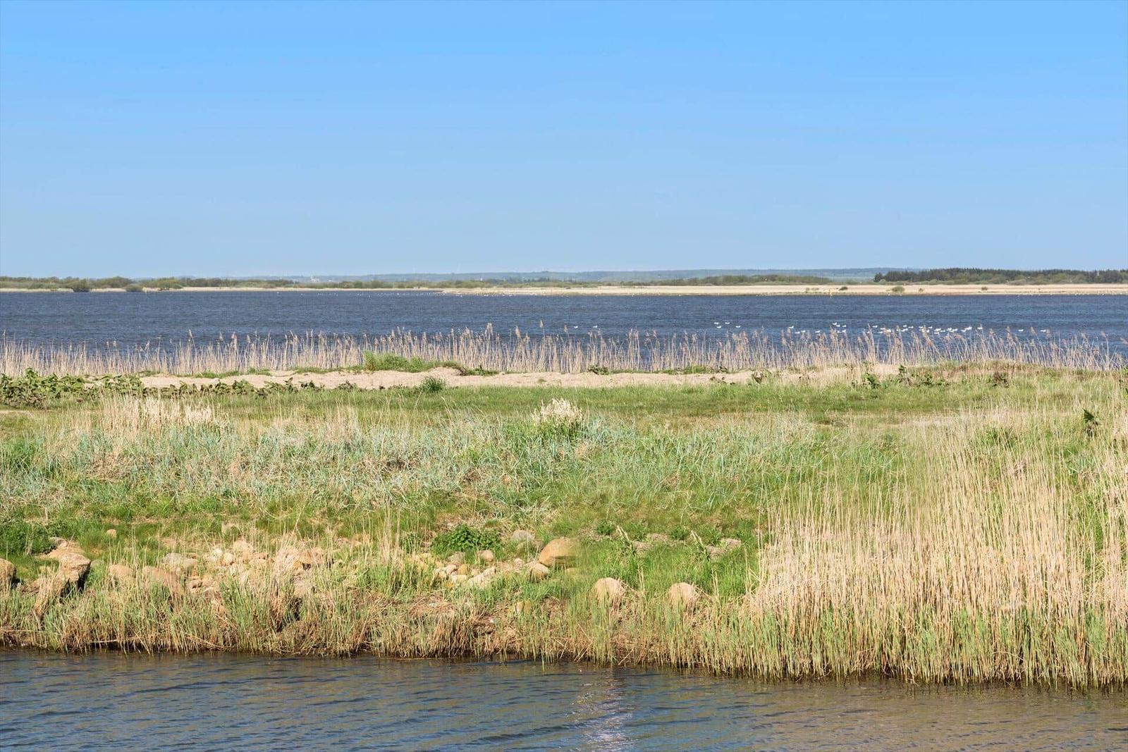 Hafen mit Booten und Steg unter klarem Himmel