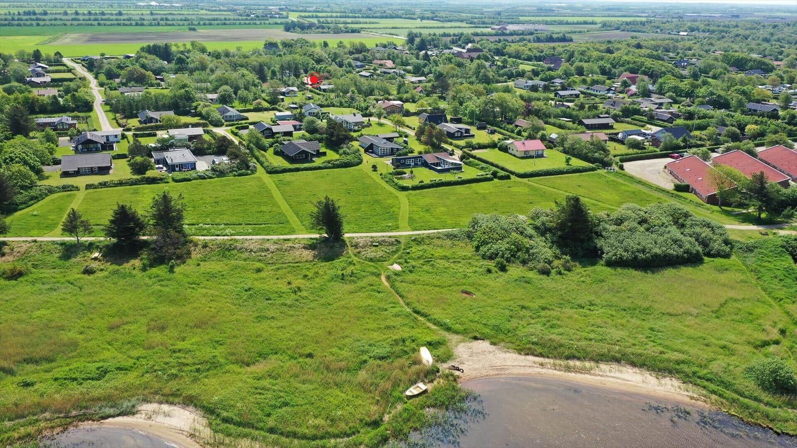 Wassersportler genießen den See unter blauem Himmel. Grasfläche und Blumen im Vordergrund.