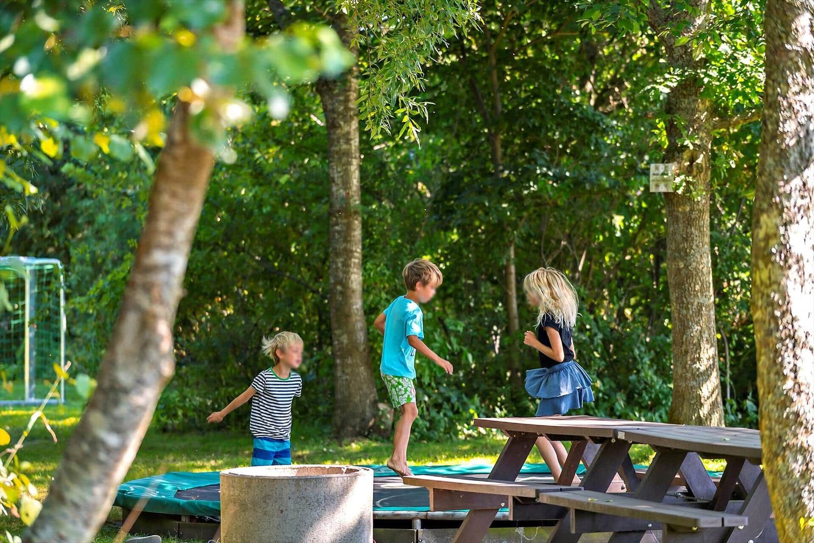 Drei Kinder spielen im grünen Garten mit Tisch und Trampolin.