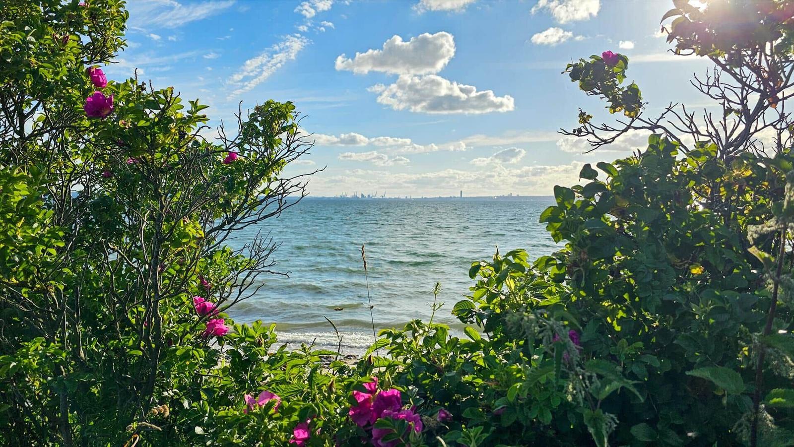 Strand mit Steinen und Wellen unter blauem Himmel mit weißen Wolken.