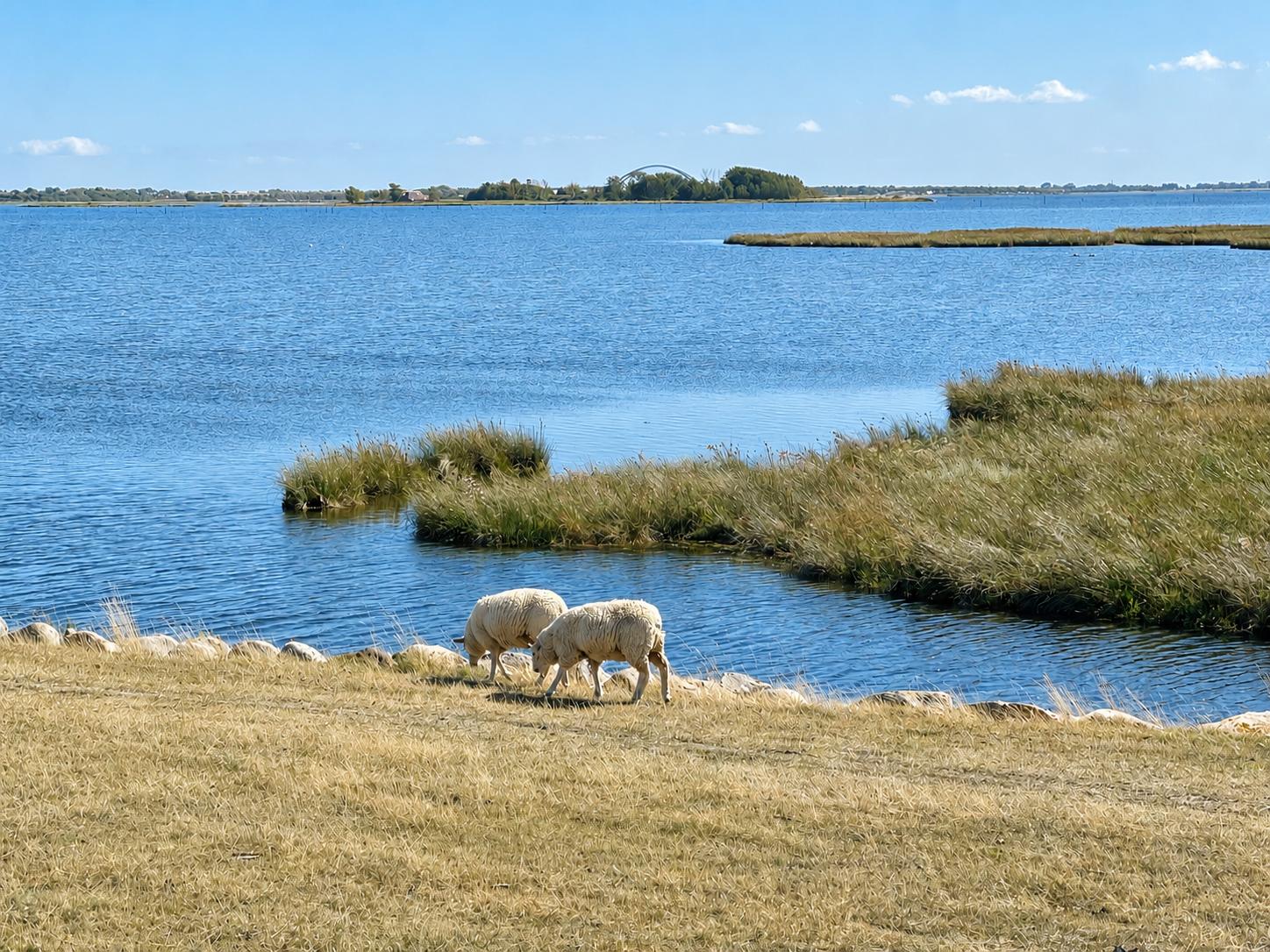Spaziergang Lemkenhafen