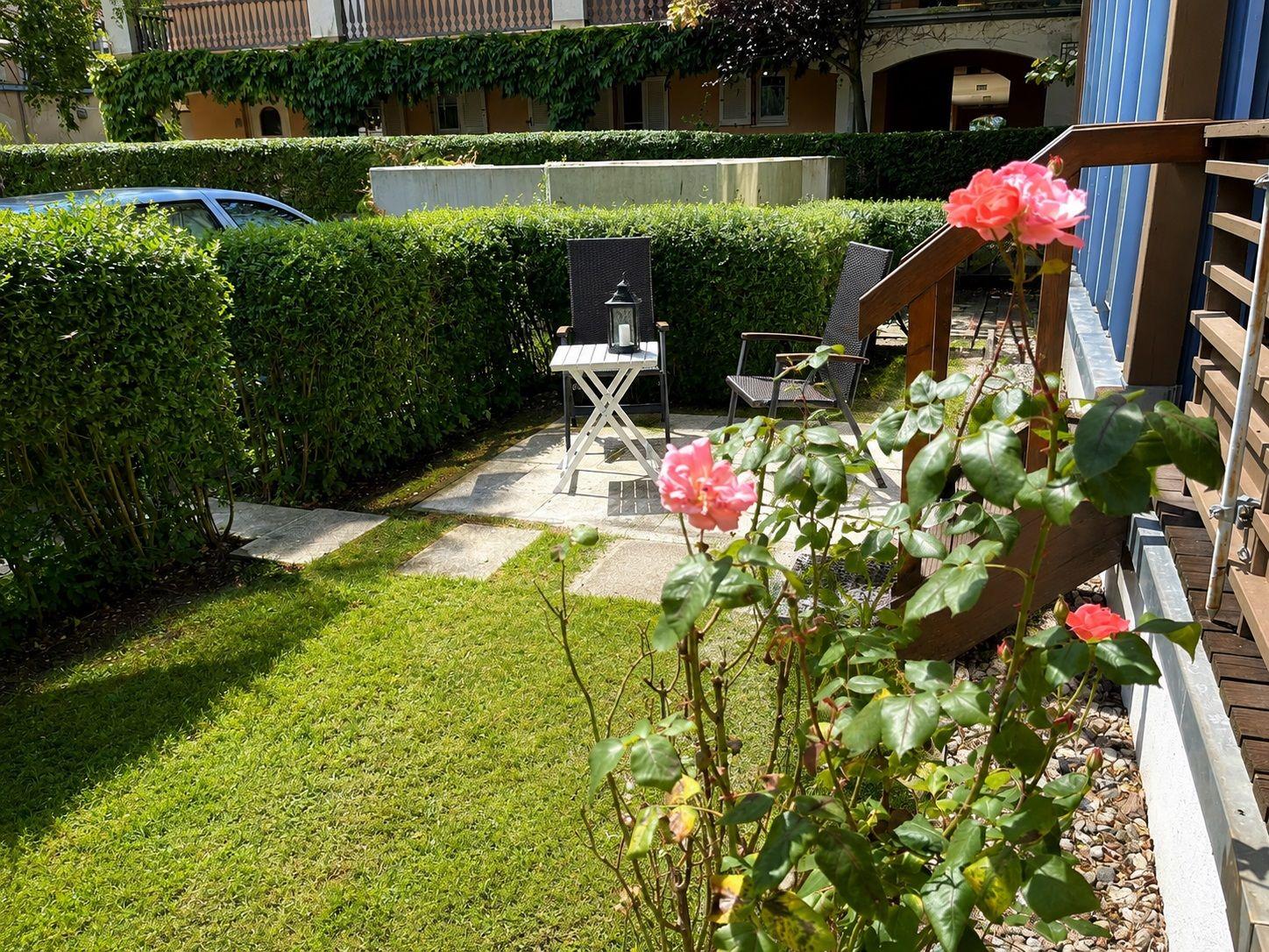 Hinterhof mit Rasen, Rosen und Sitzgelegenheit. Hedges und Terrasse sichtbar.