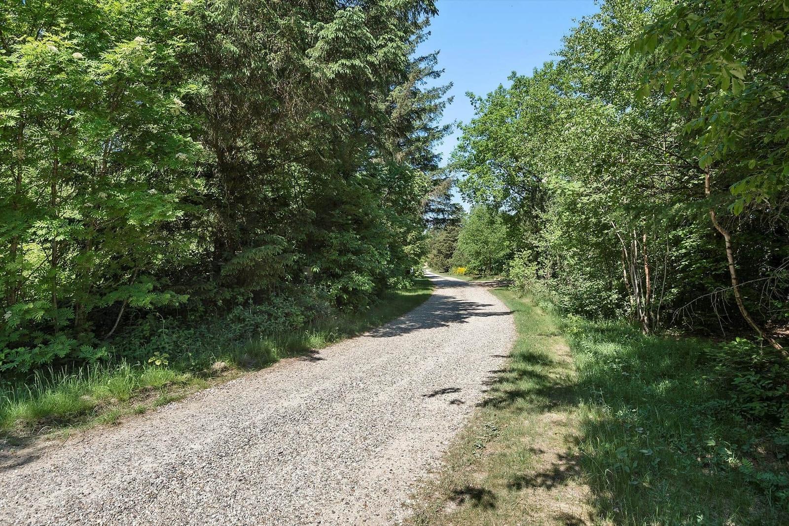 Ein Feld mit blühenden Heidekraut und einem Wald im Hintergrund unter blauem Himmel.
