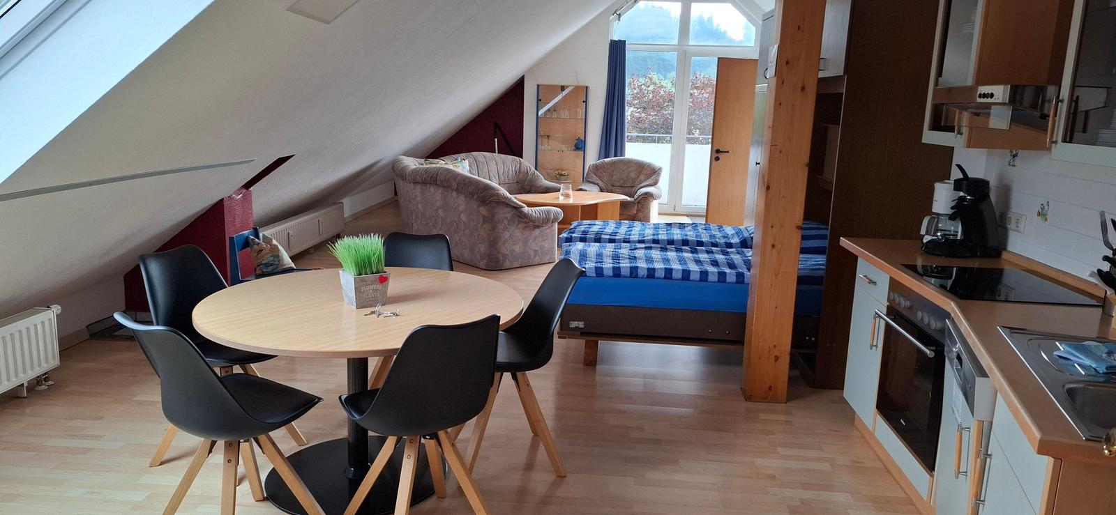 Wohnraum mit Küche, Esstisch und ausgeklapptem Schrankbett für 2 Personen