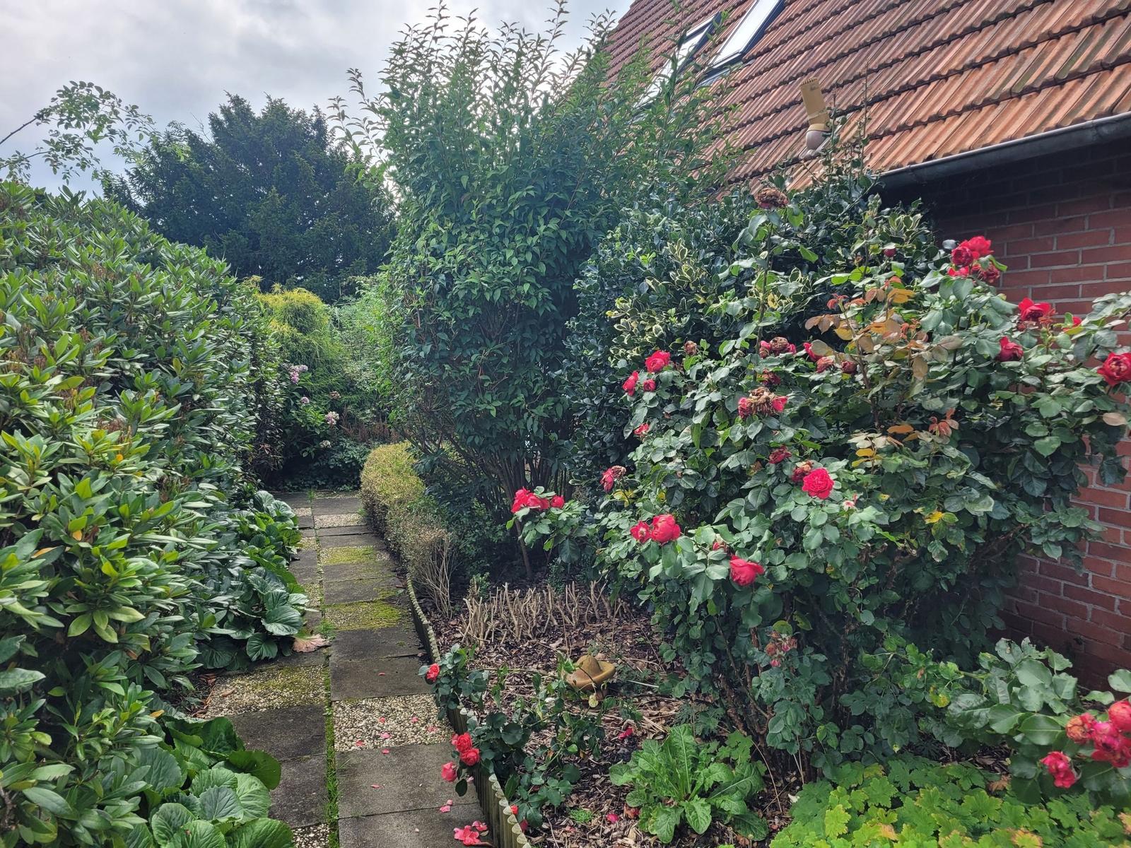 Gartenblick