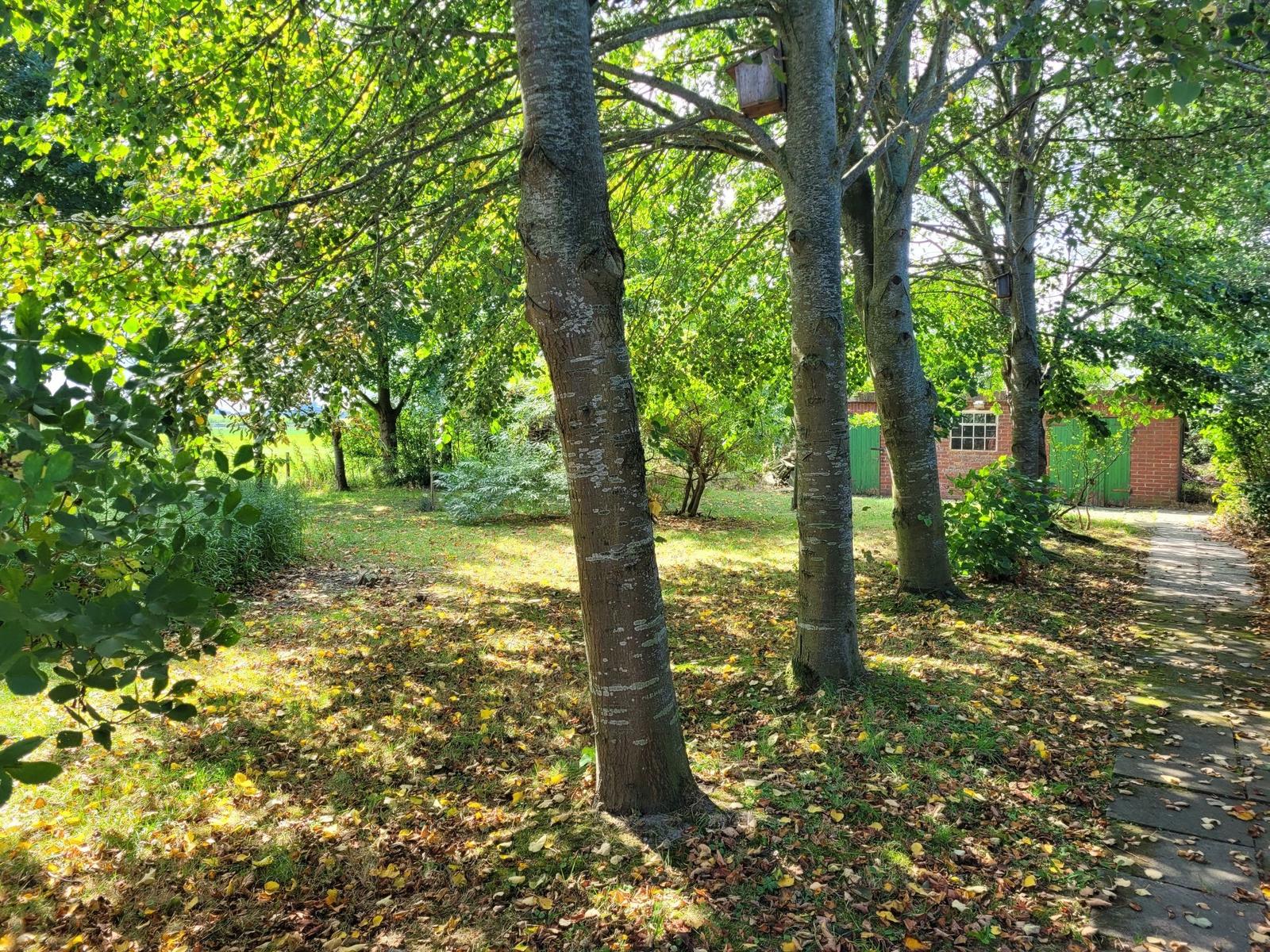 Gartenblick