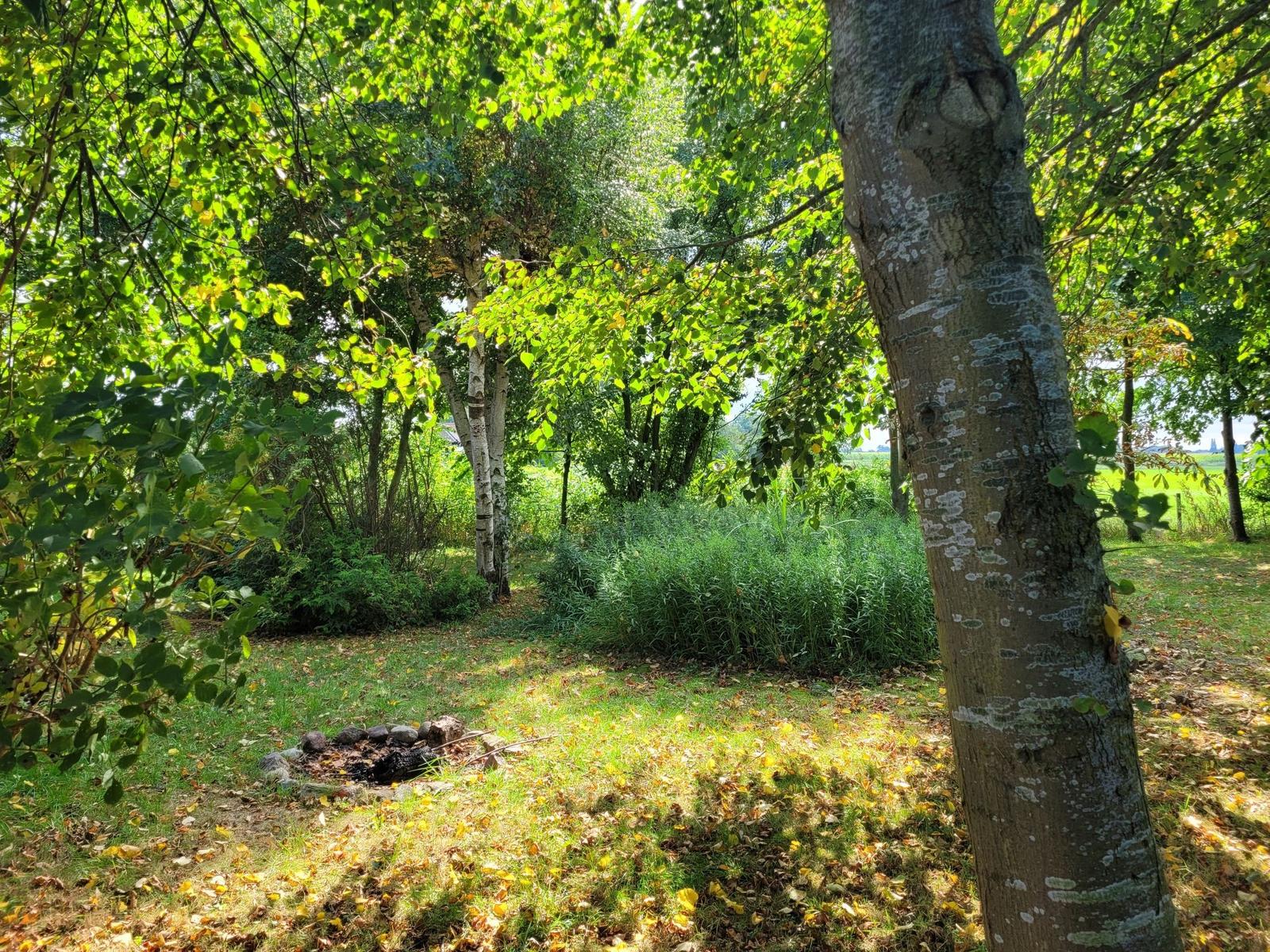 Gartenblick