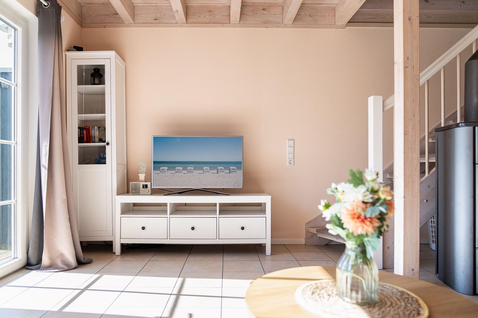 TV / Multimedia