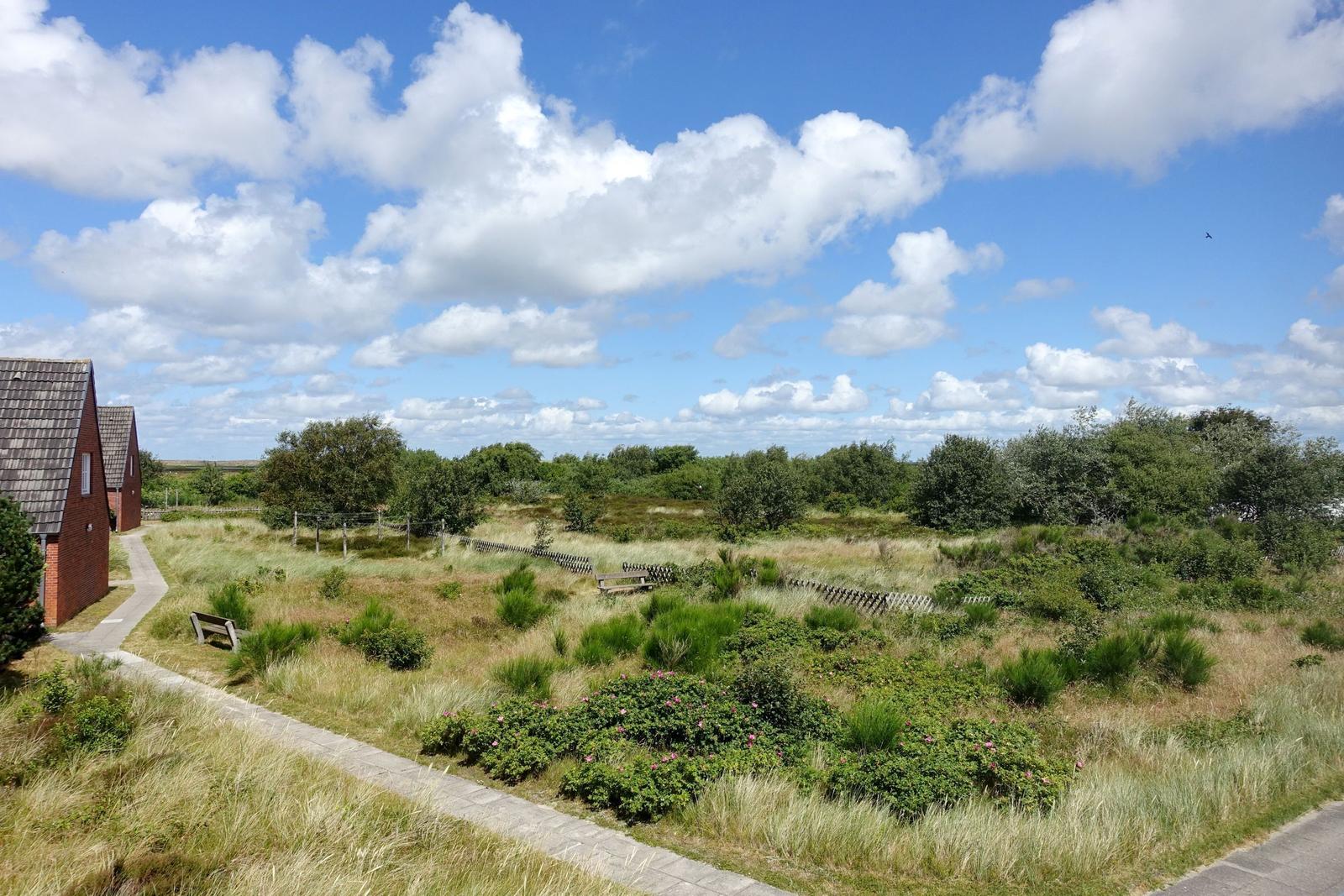 Landschaft
