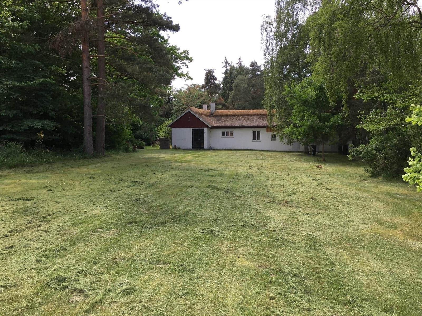 Grünes Feld mit Steinfeuerstelle und Holzzaun. Hintergrund: Wald unter blauem Himmel.