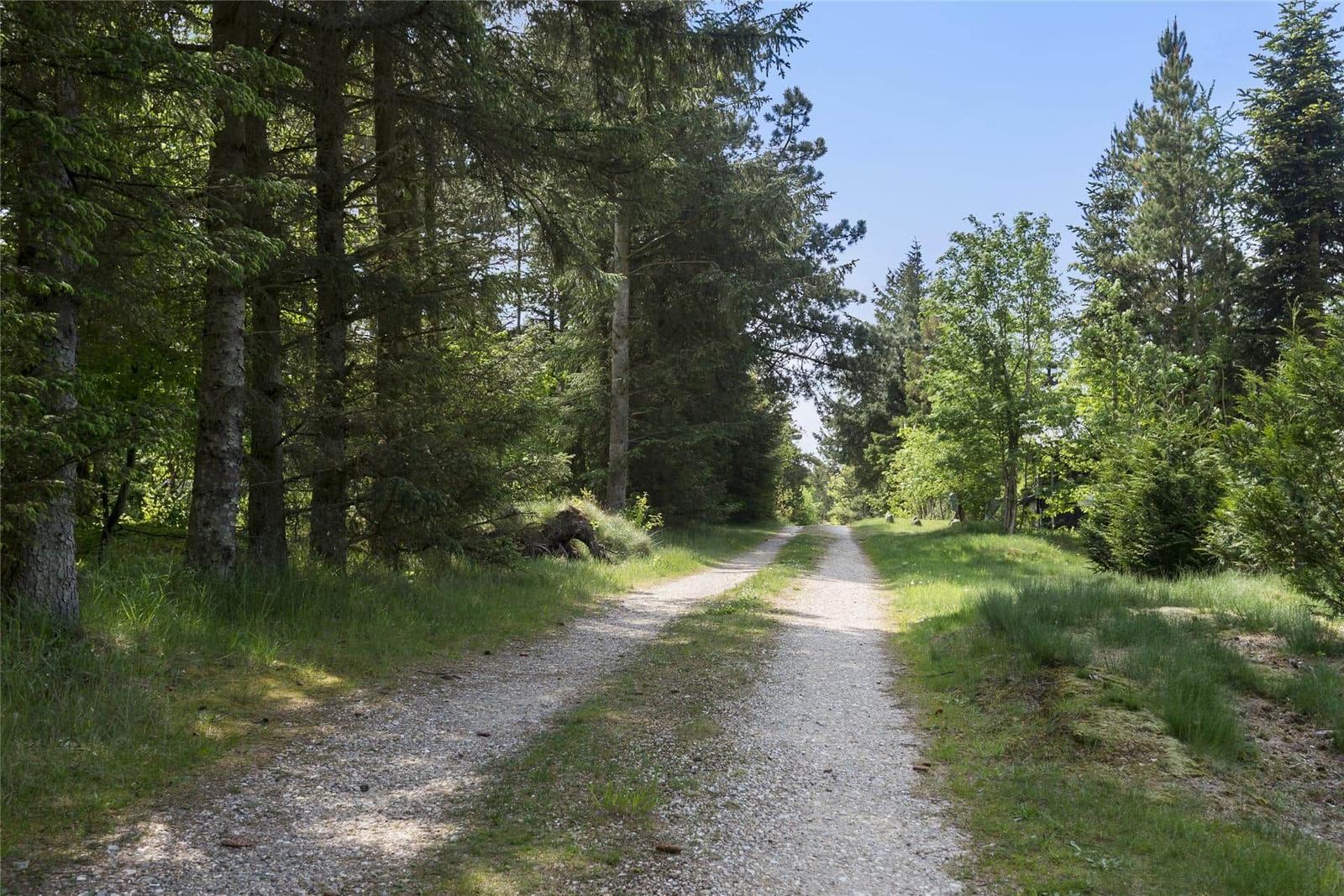 Holzterrasse mit Blick auf grünen Rasen und Wald.