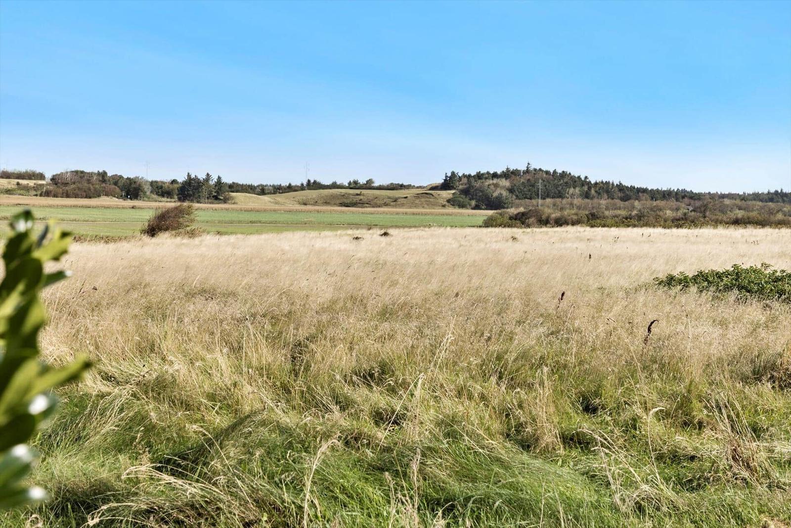 A house with a garden is situated in a rural area with green fields and a forest.