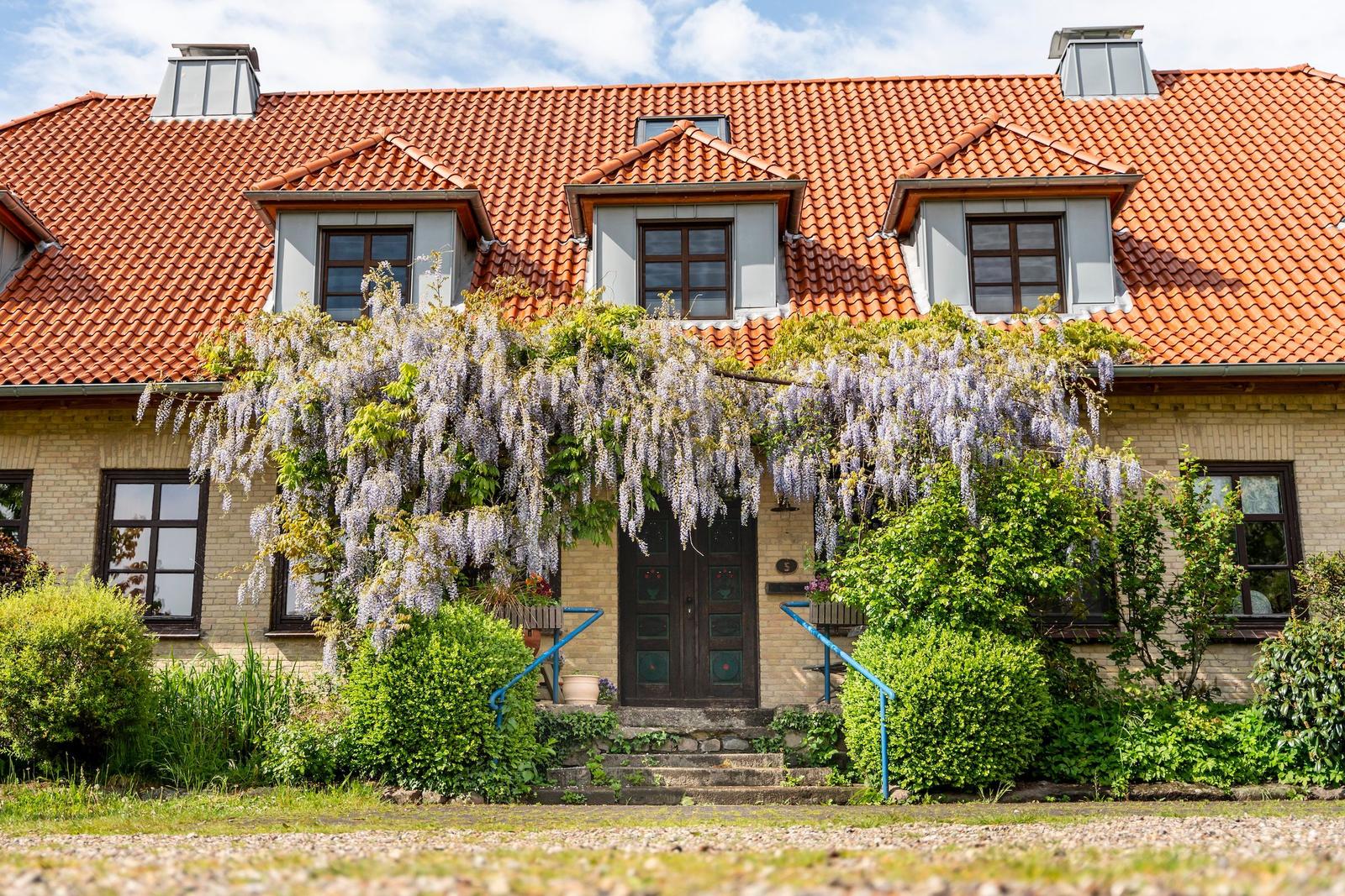 Fassade / Eingang