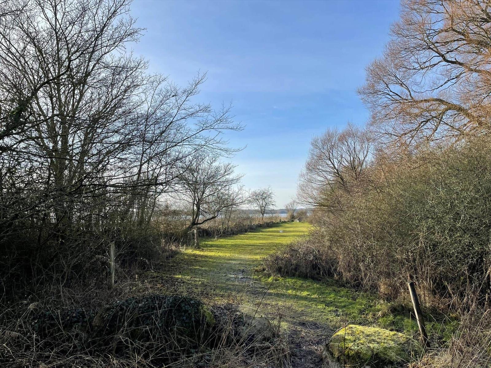 Weg durch Gras und Bäume zum Wasser führt.