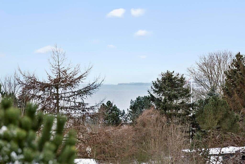 Blick auf das Meer durch Bäume und einen bewölkten Himmel.